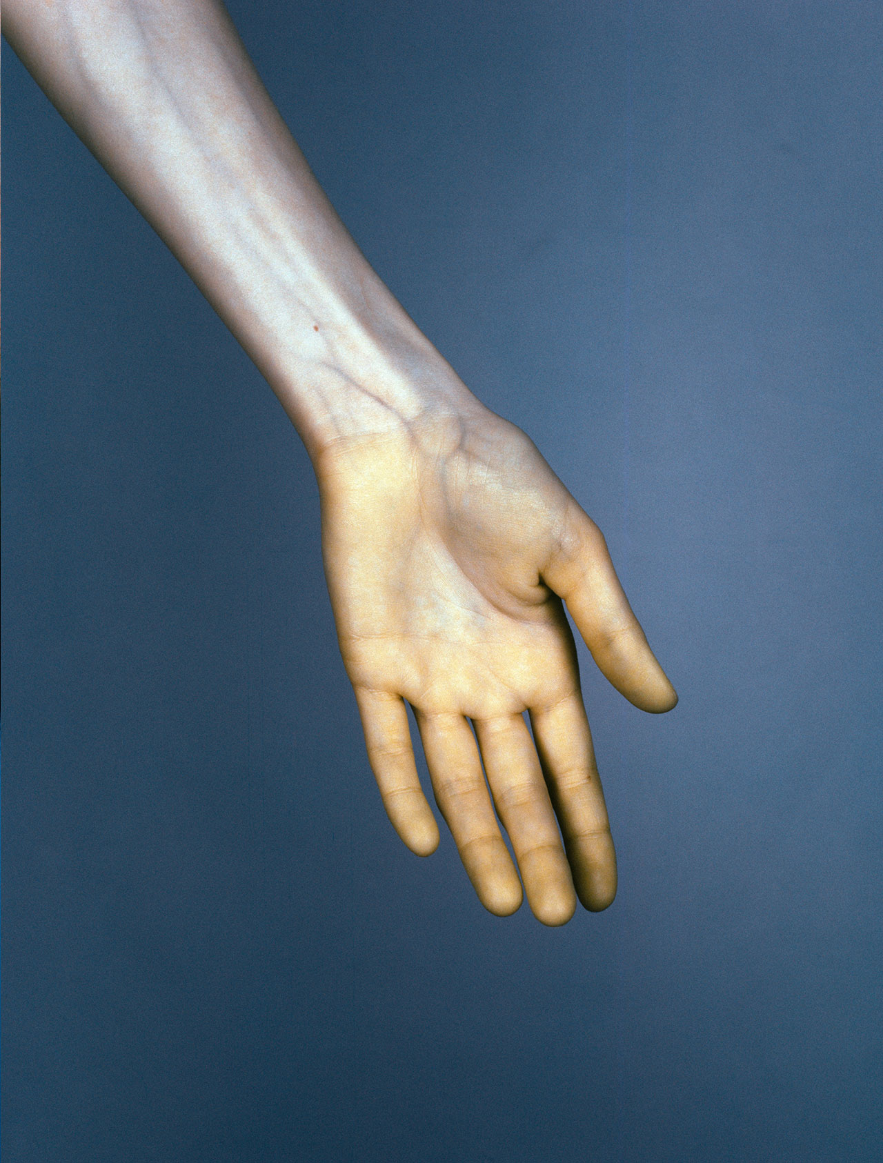 Edward Thompson, Hand #6 from The Vein, 2015. 120mm CIR Photograph. © Edward Thompson/Schilt Publishing &amp; Gallery.