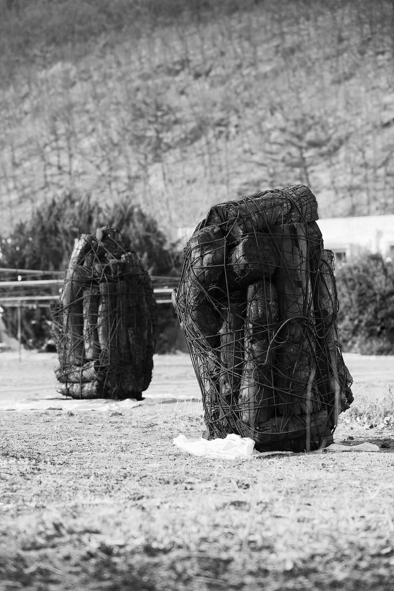 Issu du feu, 2000. Charcoal trunks attached by elastic threads. © Lee Bae.