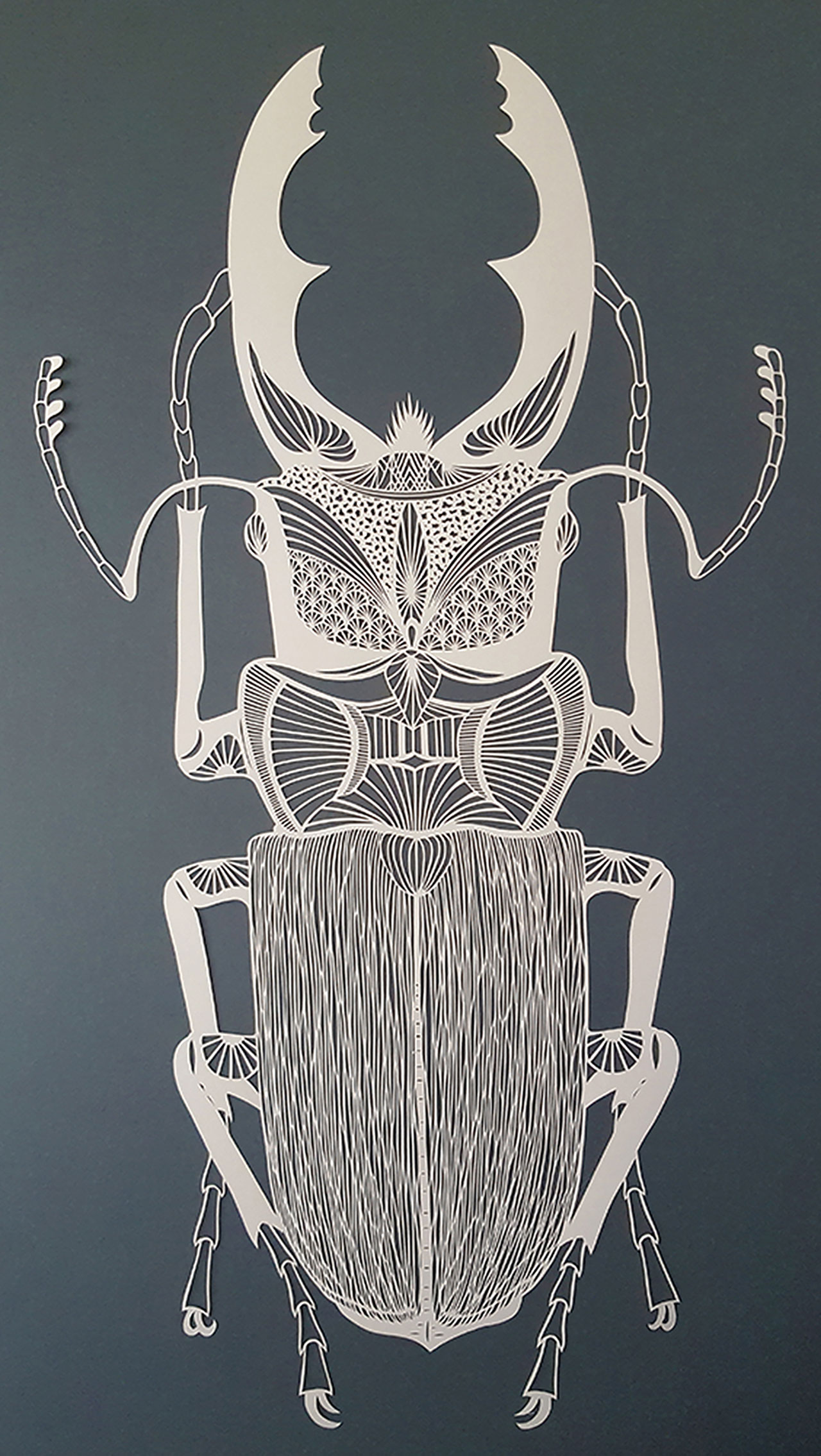 Pippa Dyrlaga, Stag beetle, 2016 © Pippa Dyrlaga.
