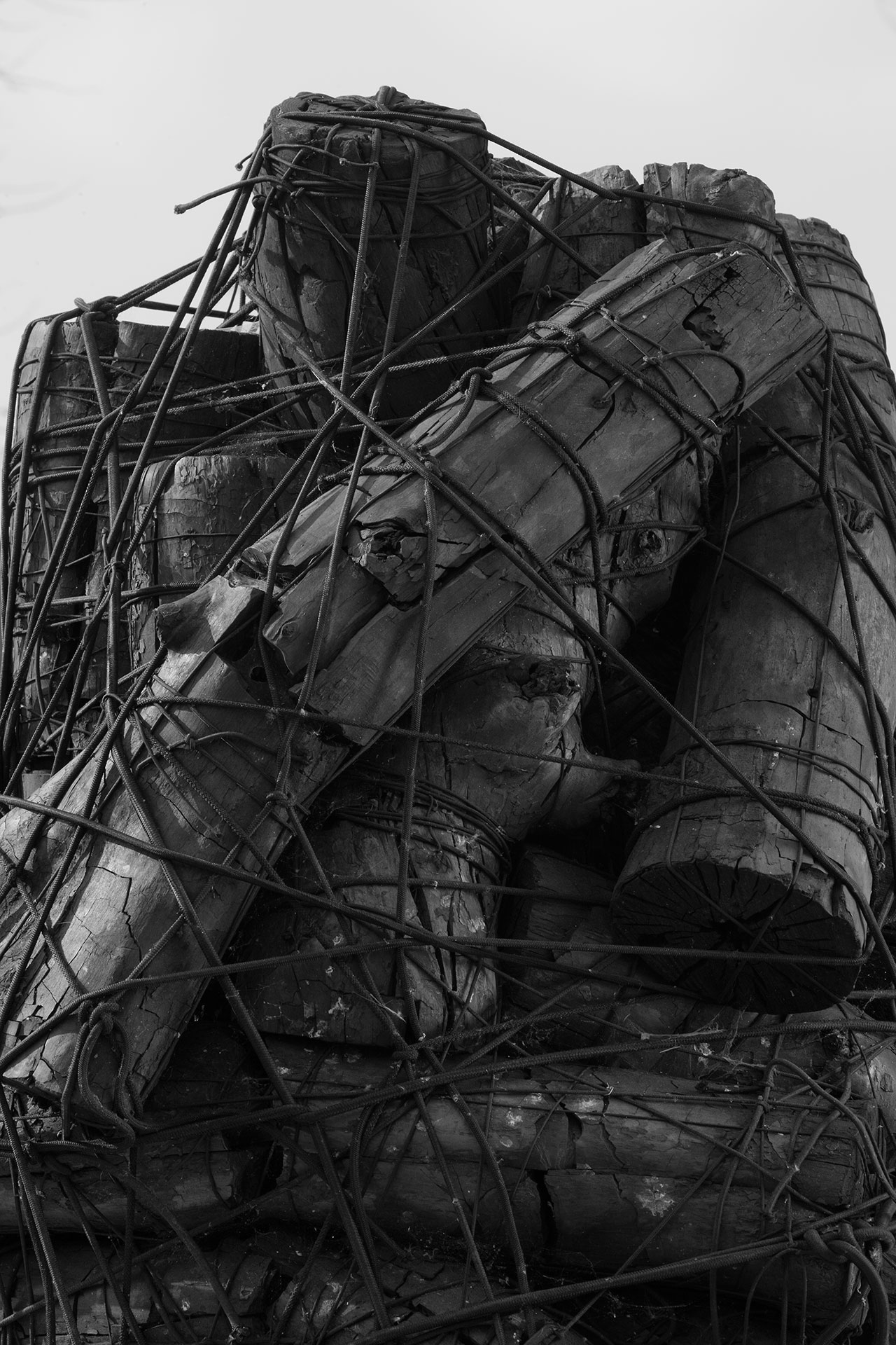 Issu du feu (detail), 2000. Charcoal trunks attached by elastic threads. © Lee Bae.