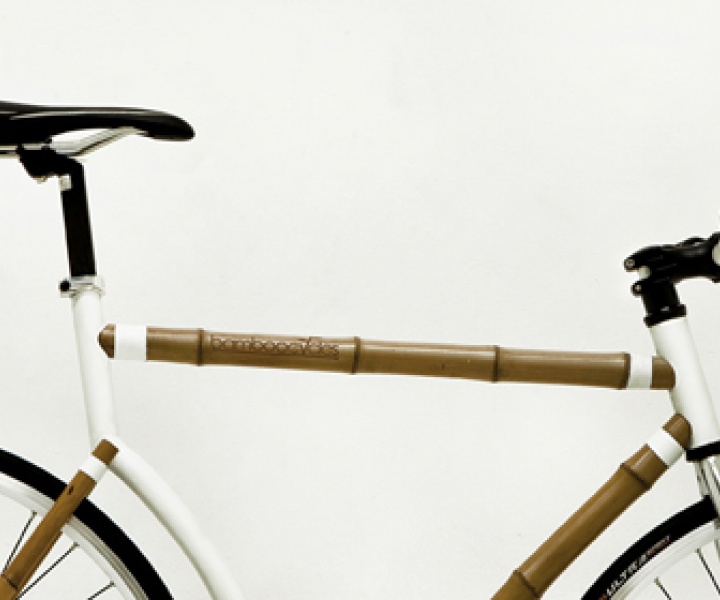 Bamboocycle: A Sustainable Urban Bicycle