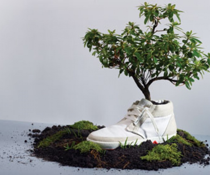Virgin collection from OAT: The sneakers that bloom!