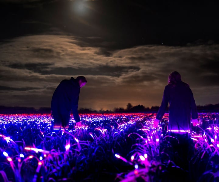 GROW: Daan Roosegaarde's Light Installation Poetically Heralds the Future of Agriculture