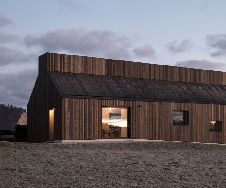 Elemental Comforts: Chimney House by Dekleva Gregorič Architects