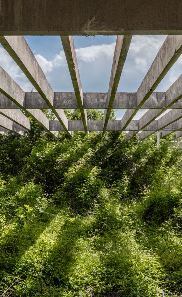 Brutalist Plants: A Photography Book Showcases the Wondrous Fusion of Brutalist Architecture and Nature